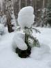 Скоробогатова Софья. «Лесной снеговик»